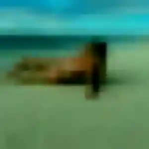 Photo perso de Deborah, 41 ans à Aigondigné - rencontre coquine