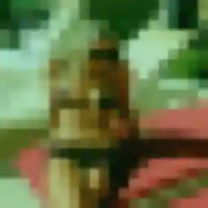 Thais, 30 ans, connectée à Allériot pour une rencontre coquine