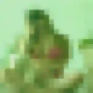 Photo de Chiara à Alquines (41 ans) - plan cul gratuit