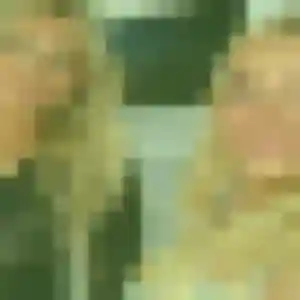 Profil de Berengere à Andel (40 ans) - plan cul gratuit