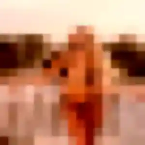 Profil de Chiara à Andilly (44 ans) - plan cul gratuit