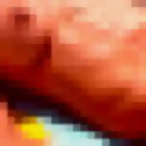 Photo de Flavie à Andoins (35 ans) - plan cul gratuit