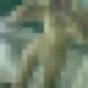 Agnes, fille de 42 ans cherche plan cul à Angy