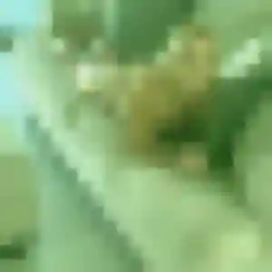 Vanessa (38 ans) à Annesse-et-Beaulieu cherche une rencontre aujourd'hui