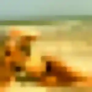Photo de Ursule à Appietto (43 ans) - plan cul discret
