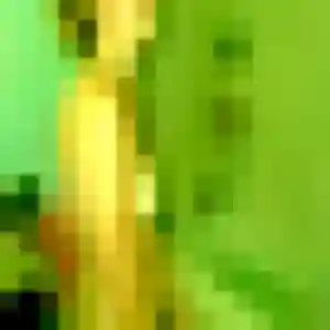 Rejoins Priscilla, 33 ans à Arbonne en t'inscrivant