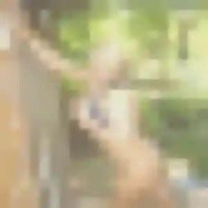 Profil de Charlotte à Arboys en Bugey (23 ans) - plan cul anonyme
