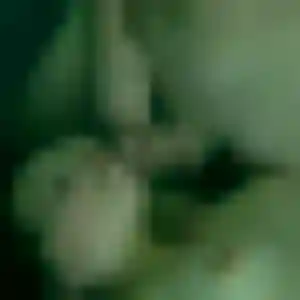 Rejoins Anne, 39 ans à Asnières-sur-Nouère gratuitement