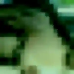 Photo exclusive de Camille, 43 ans à Attainville - rencontre coquine