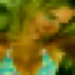 Photo exclusive de Wendy, 27 ans à Audruicq - plan discret
