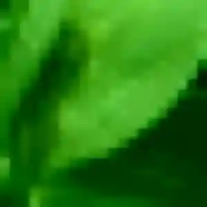 Profil de Lise à Augny (32 ans) - plan cul gratuit