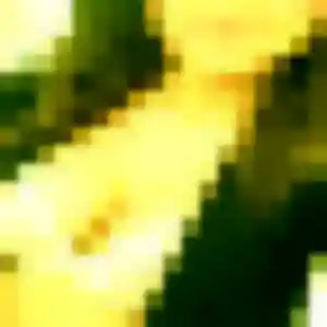 Sexy Kenza, 41 ans à Autrêches - découvrir son profil