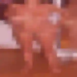 Contacte Monique, 41 ans à Auxerre en t'inscrivant