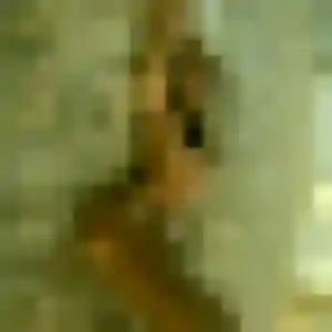 Lisa, 42 ans, dispo pour plan cul à Avèze