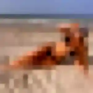Photo de Karima à Azé (44 ans) - plan cul sans inscription