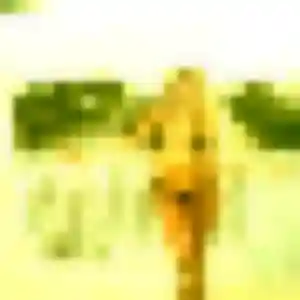 Photo de Laure à Baillif (43 ans) - plan cul sans inscription