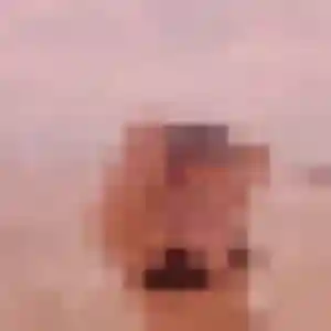 Photo sexy de Albane, 25 ans à Bannost-Villegagnon - rencontre coquine