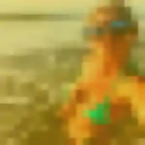 Photo exclusive de Ambre, 28 ans à Barbezieux-Saint-Hilaire - rencontre sans lendemain