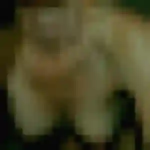 Photo sexy de Berenice, 35 ans à Barbezieux-Saint-Hilaire - plan discret