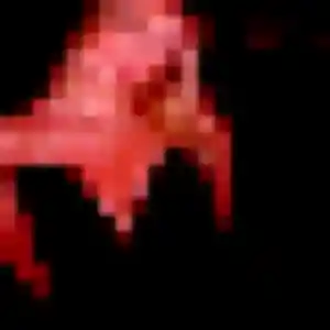 Photo privée de Dorothee, 29 ans à Barcelonne-du-Gers - plan discret