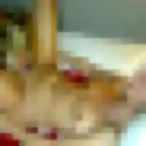 Photo de Eleonore à Bazoches-sur-le-Betz (34 ans) - plan cul gratuit