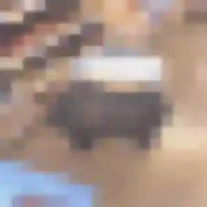 Margot, 24 ans, connectée à Bazoges-en-Paillers pour une rencontre coquine