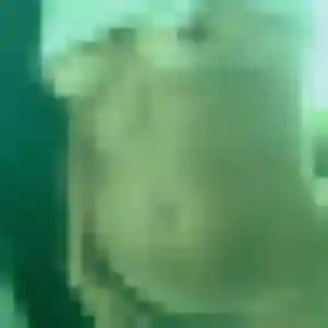 Photo exclusive de Agathe, 42 ans à Beaulieu-sur-Mer - plan discret