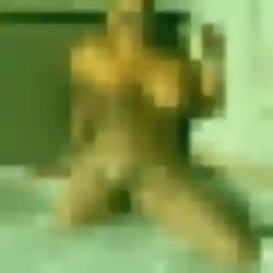 Photo exclusive de Iris, 29 ans à Beaumont-sur-Sarthe - rencontre coquine