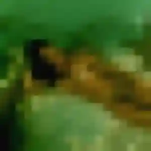 Photo privée de Sabrina, 30 ans à Beauregard-de-Terrasson - plan discret