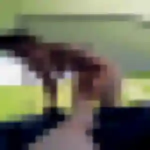 Adeline, 44 ans, connectée à Beauregard-l'Évêque pour une rencontre coquine