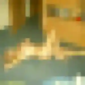Jolie Yael, 28 ans à Beire-le-Châtel - la contacter