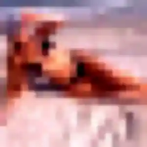 Photo exclusive de Colombe, 22 ans à Belleville-sur-Loire - rencontre coquine
