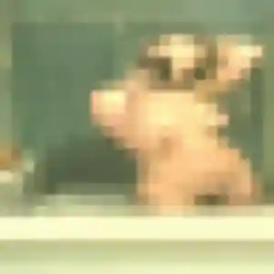 Myriam, 30 ans, dispo pour plan cul à Bergues