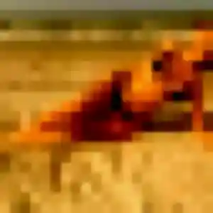 Photo de Florence à Bernwiller (34 ans) - plan cul anonyme