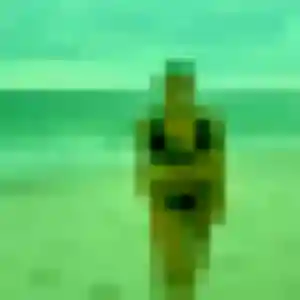 Photo de Martine à Berru (44 ans) - plan cul anonyme