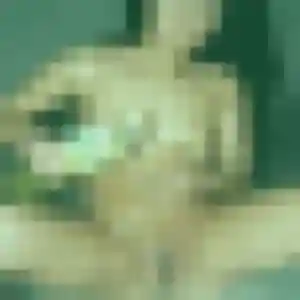 Photo de Severine à Beynat (24 ans) - plan cul gratuit