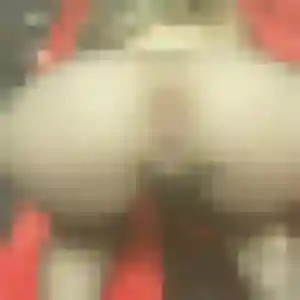 Profil de Odile à Bidarray (45 ans) - plan cul anonyme