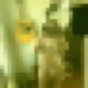 Photo de Lola à Bihorel (37 ans) - plan cul anonyme