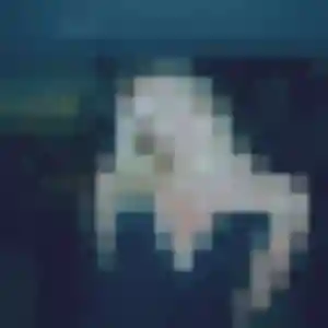 Photo de Natacha à Blan (43 ans) - plan cul sans inscription