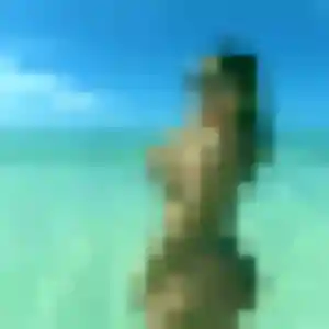 Photo exclusive de Zelda, 29 ans à Blancs-Coteaux - rencontre coquine