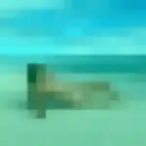Photo de Tatyana à Blou (38 ans) - plan cul sans inscription