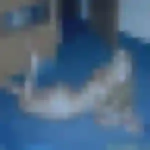 Photo privée de Victoire, 36 ans à Boffres - rencontre coquine