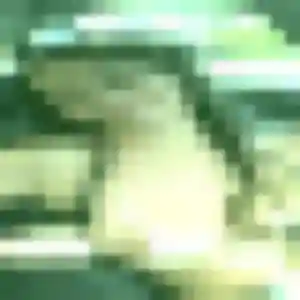 Photo sexy de Corinne, 41 ans à Bordes - rencontre coquine