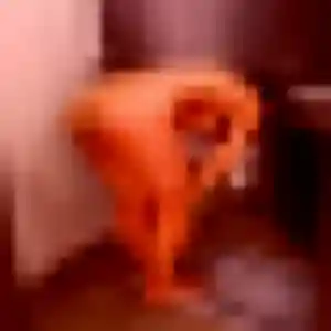 Pierrette, 25 ans, dispo pour plan cul à Bouafles