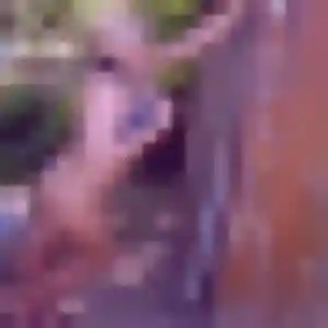 Alice, 24 ans, connectée à Bout-du-Pont-de-Larn pour une rencontre coquine