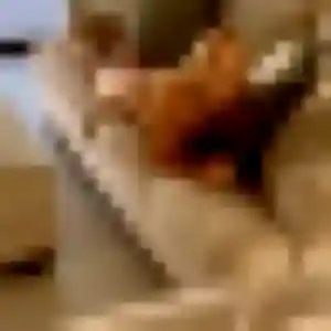 Photo exclusive de Emeraude, 36 ans à Brebières - rencontre sans lendemain