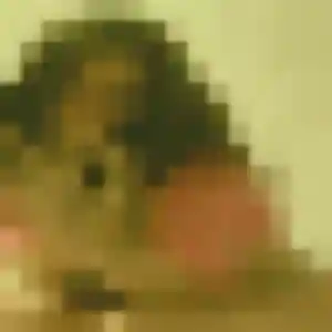 Photo sexy de Isabelle, 26 ans à Bressuire - rencontre sans lendemain