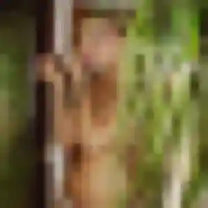 Photo privée de Odette, 23 ans à Bretagne-de-Marsan - plan discret