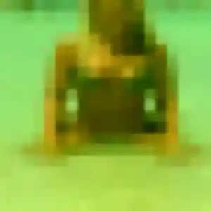 Photo privée de Tania, 45 ans à Bretignolles-sur-Mer - rencontre sans lendemain