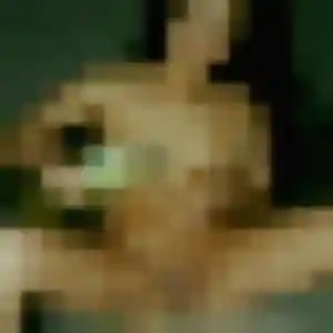 Elodie, 33 ans, connectée à Bretteville-sur-Laize pour un plan cul